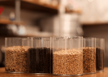 Brewing Grains