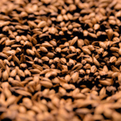 Caramel 120L - Briess Caramel 120L - Briess