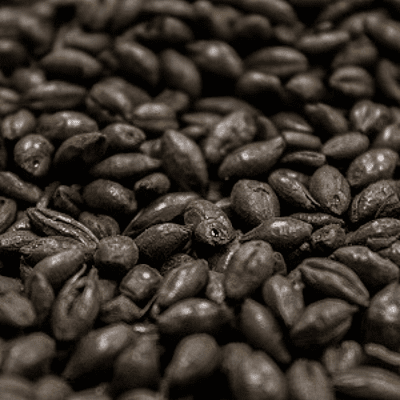 Black Malt - Briess