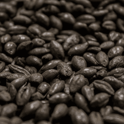 Black Malt - Briess Black Malt - Briess