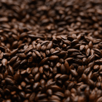 Roasted Barley - Briess