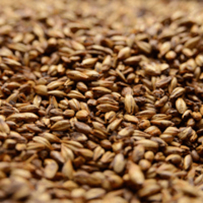 Caramel 40L - Briess