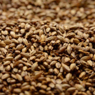 Caramel 60L - Briess