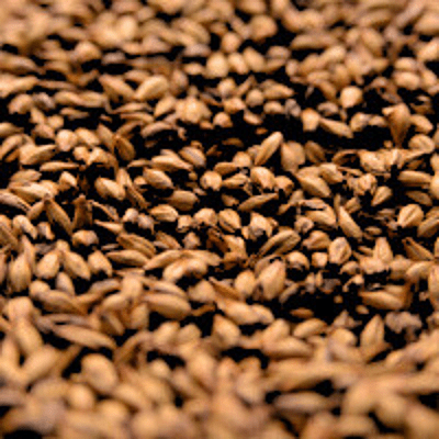 Caramel 80L - Briess