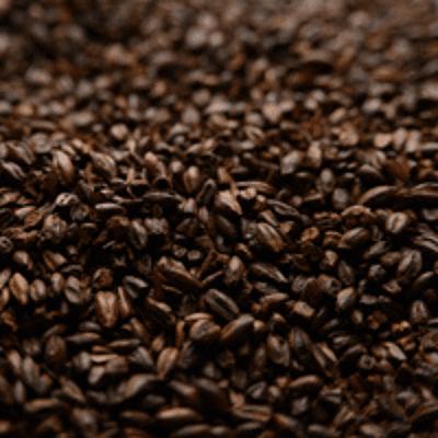Chocolate Malt - Briess
