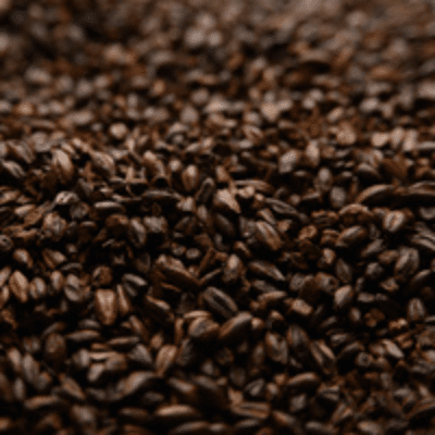 Chocolate Malt - Briess