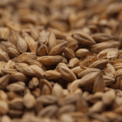Honey Malt - Gambrinus Honey Malt - Gambrinus