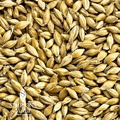 Copy of Weyermann® Pilsner