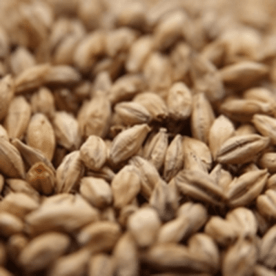 Copy of Munich Malt Type 2 - Weyermann® Copy of Munich Malt Type 2 - Weyermann®