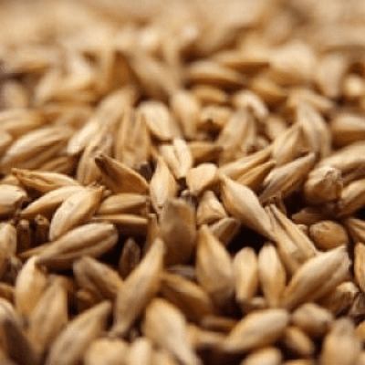 Caramunich® Type 1 - Weyermann®