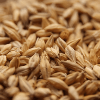 Acidulated Malt - Weyermann Acidulated Malt - Weyermann